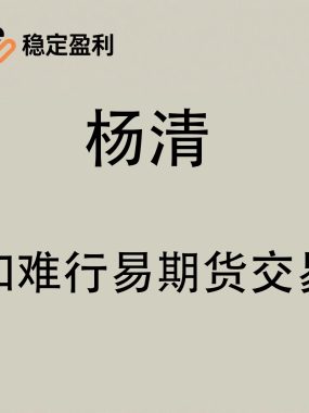 [期货课程]杨清《知难行易》技术系统期货视频教程与期货波段交易课程全集