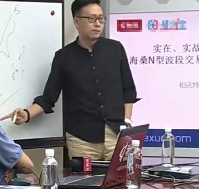 海桑期货陈金辉N型波段交易系统培训课程 基础核心课程高级全套