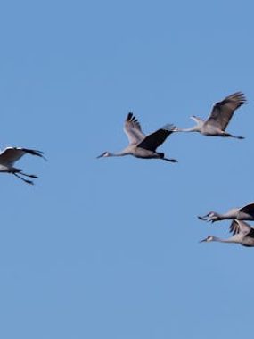 期货交易的本质是认知与执行，思维差异的不同导致不同的结果