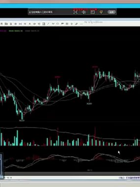 王凌毅期货内训视频课程17集下载