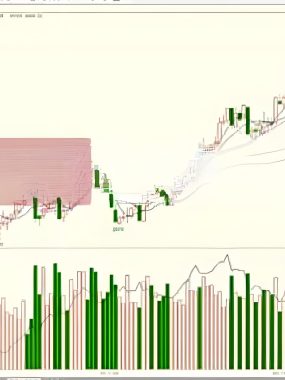 潘启祥期货交易系统视频课程